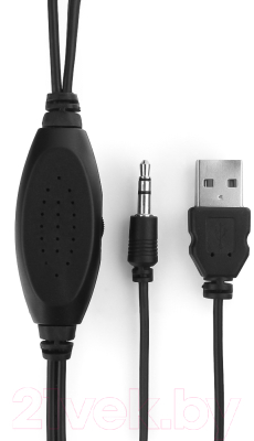Мультимедиа акустика Gembird SPK-204