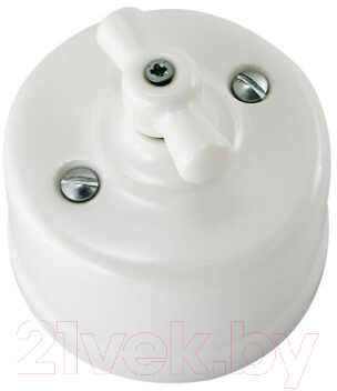 Выключатель TDM Болонь SQ1820-0001 - фото