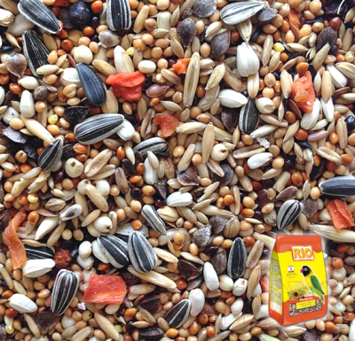 Корм для птиц Mealberry RIO для средних попугаев