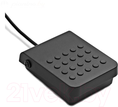 Цифровое фортепиано Casio PX-S1000RD