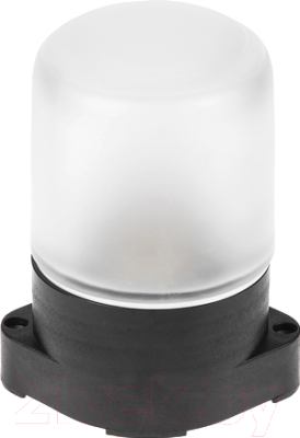 Светильник ЖКХ Юпитер JP1300-09 - фото