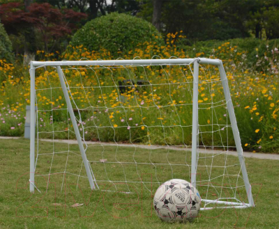 Футбольные ворота DFC GOAL 120T