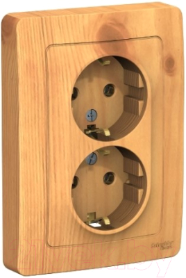 Розетка Schneider Electric Blanca BLNRS001025 - фото