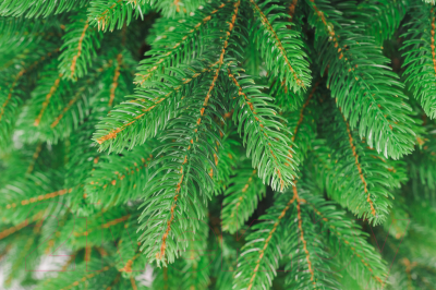 Ель искусственная Бифорес Крона микс светлая / КРМС 165