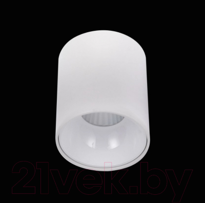 Потолочный светильник Citilux Старк CL7440100