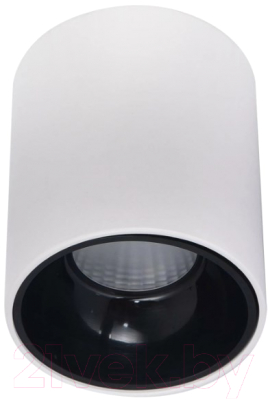 Потолочный светильник Citilux Старк CL7440101 - фото