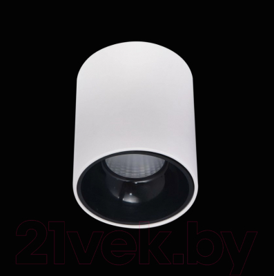 Потолочный светильник Citilux Старк CL7440101