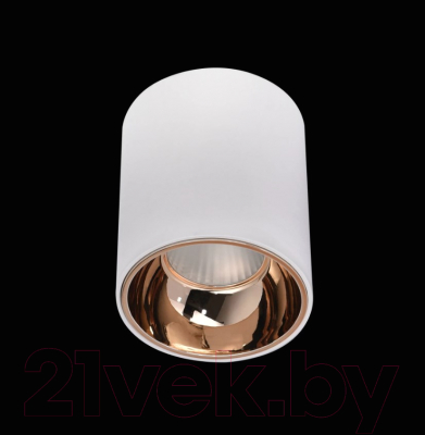 Потолочный светильник Citilux Старк CL7440103