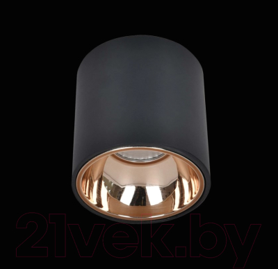 Потолочный светильник Citilux Старк CL7440113