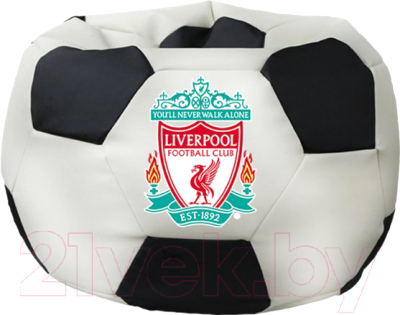 Бескаркасное кресло Flagman Мяч Стандарт М1.3-32 - фото