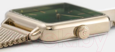 Часы наручные женские Cluse CW0101207013