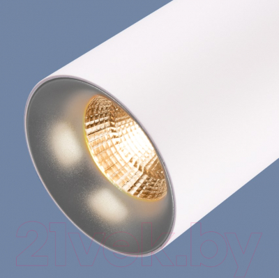 Потолочный светильник Elektrostandard DLS021 9+4W 4200K