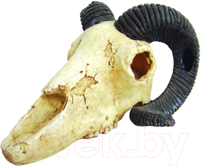 Декорация для террариума Lucky Reptile Skull Ram череп / DS-R - фото