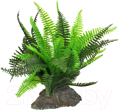 Декорация для террариума Lucky Reptile Fern / IF-101 - фото