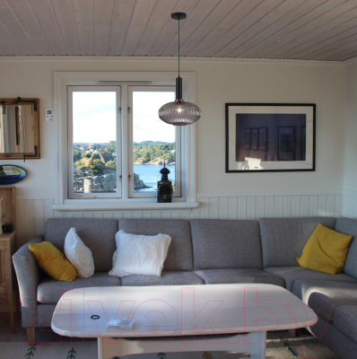 Потолочный светильник Евросвет Bravo 50183/1 (дымчатый)