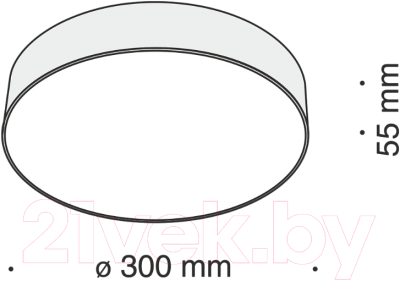 Потолочный светильник Maytoni Zon C032CL-L43B4K