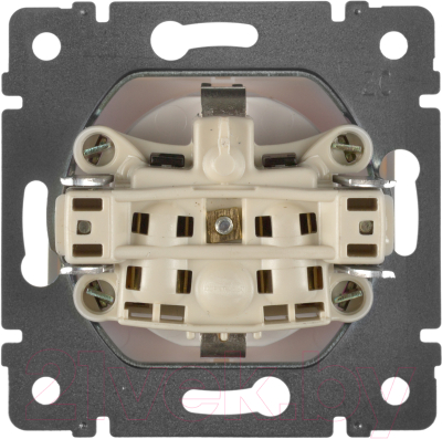 Розетка Legrand Valena 774422