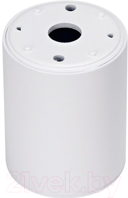 Точечный светильник Ambrella TN215 WH/S