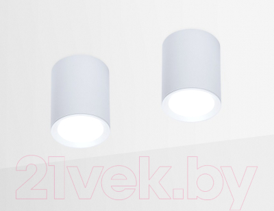 Точечный светильник Ambrella TN215 WH/S