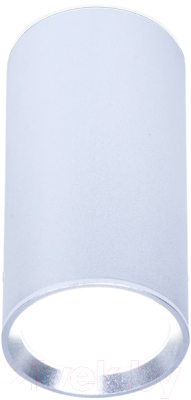 Точечный светильник Ambrella TN219 SL/S - фото