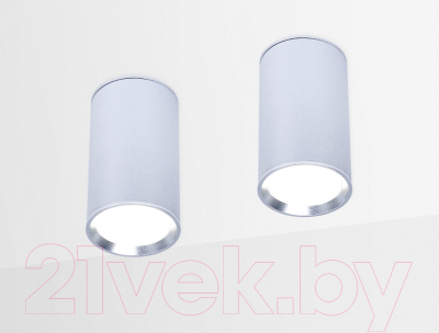 Точечный светильник Ambrella TN219 SL/S