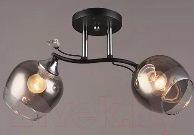 Потолочный светильник Mirastyle SX-1037/2 - фото