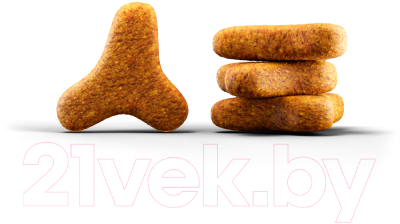 Сухой корм для кошек Josera Adult Light Leger