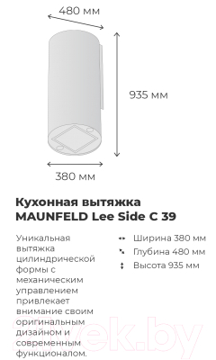 Вытяжка коробчатая Maunfeld Lee Side (С) 39
