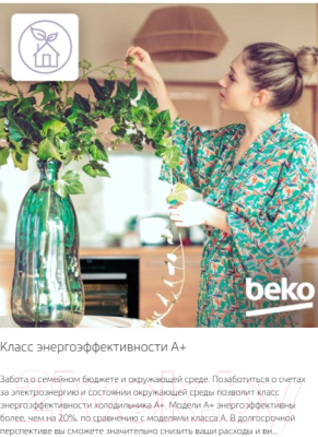 Холодильник с морозильником Beko RCSK339M20S