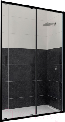 Душевая дверь RGW CL-14 B / 32091410-14 - фото