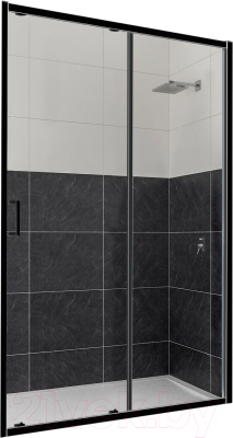 Душевая дверь RGW CL-14 B / 32091415-14 - фото