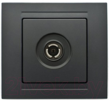 Розетка Gunsan Visage 01 28 34 00 159 122 - фото