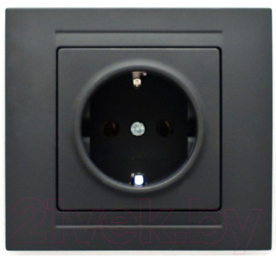 Розетка Gunsan Visage 01 28 34 00 152 115 - фото