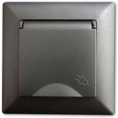 Розетка Gunsan Visage 01281700-152117 - фото