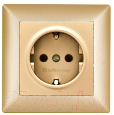 Розетка Gunsan Visage 01282500-152115 - фото