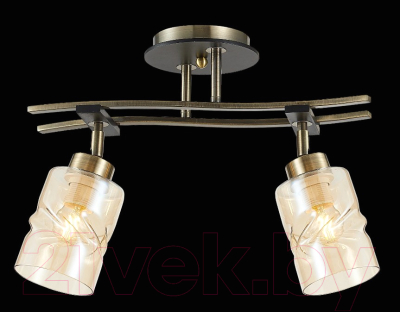 Потолочный светильник Citilux Мерида CL142124