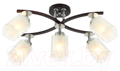 Люстра Citilux Фортуна CL156152 - фото