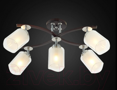 Люстра Citilux Фортуна CL156152