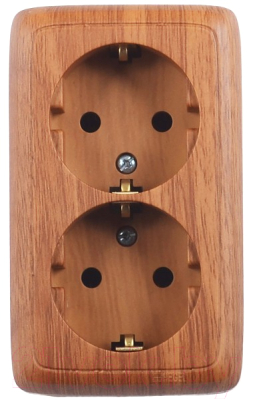 Розетка Hegel РА16-153-05 - фото