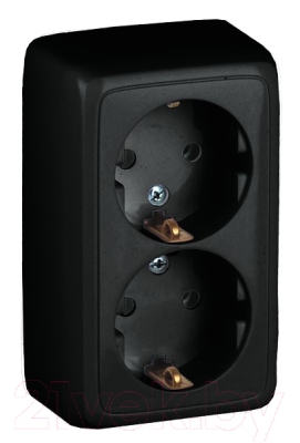 Розетка Hegel РА16-153-08 - фото