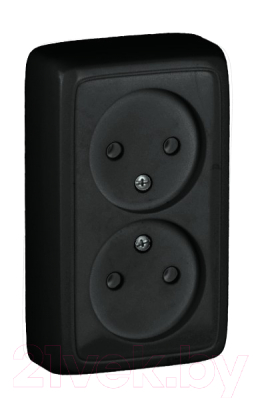 Розетка Hegel РА16-143-08 - фото