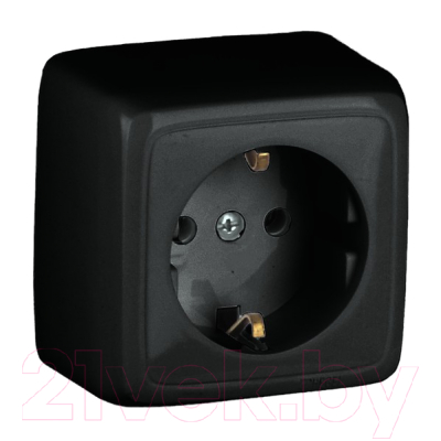 Розетка Hegel РА16-113-08 - фото