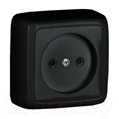 Розетка Hegel РА16-103-08 - фото