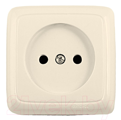 Розетка Hegel РА16-103-01 - фото