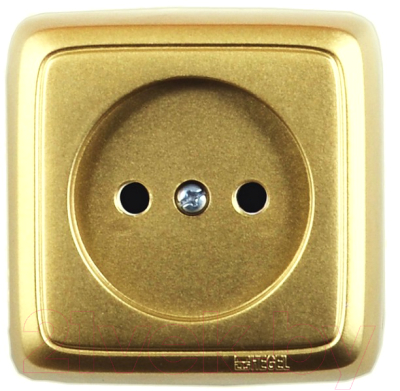 Розетка Hegel РА16-103-07 - фото