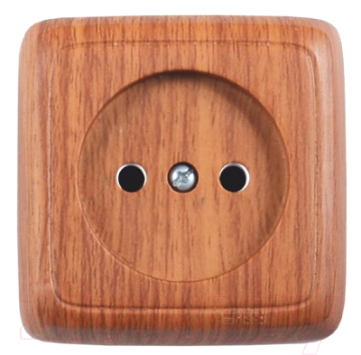 Розетка Hegel РА16-103-05 - фото