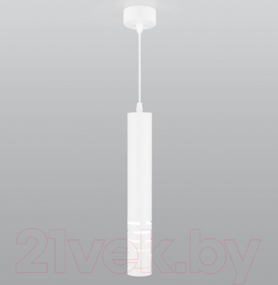 Потолочный светильник Elektrostandard DLN003 MR16