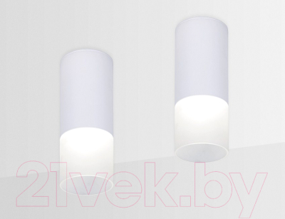 Точечный светильник Ambrella TN230 WH/S