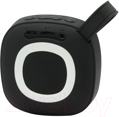 Портативная колонка Arka X25 Outdoor 11006.02 (черный)