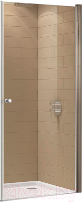 Душевая дверь Cezares ECO-O-B-1-60-P-Cr - фото